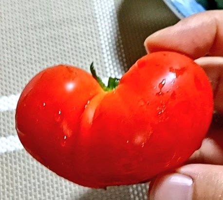 ジューン☆タピオカ❄️(ホットブルー) tweet media