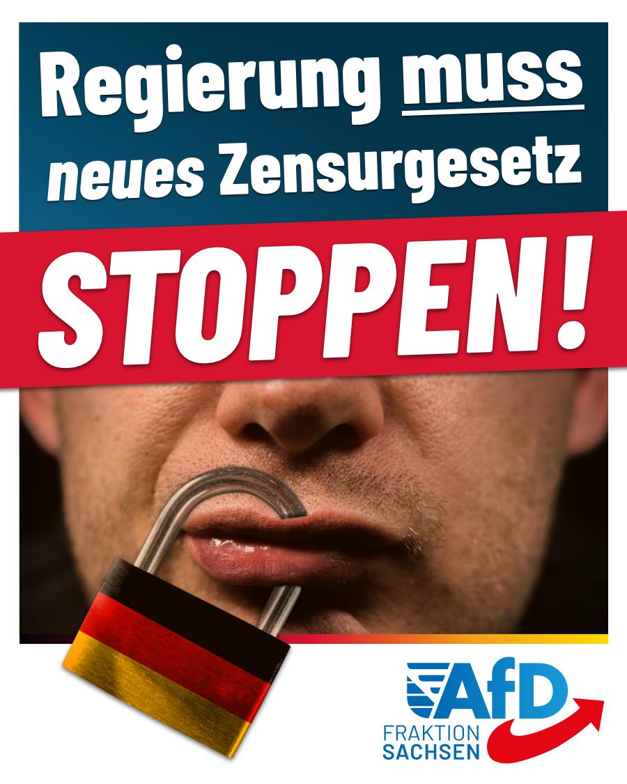 AfD-Fraktion Sachsen tweet media