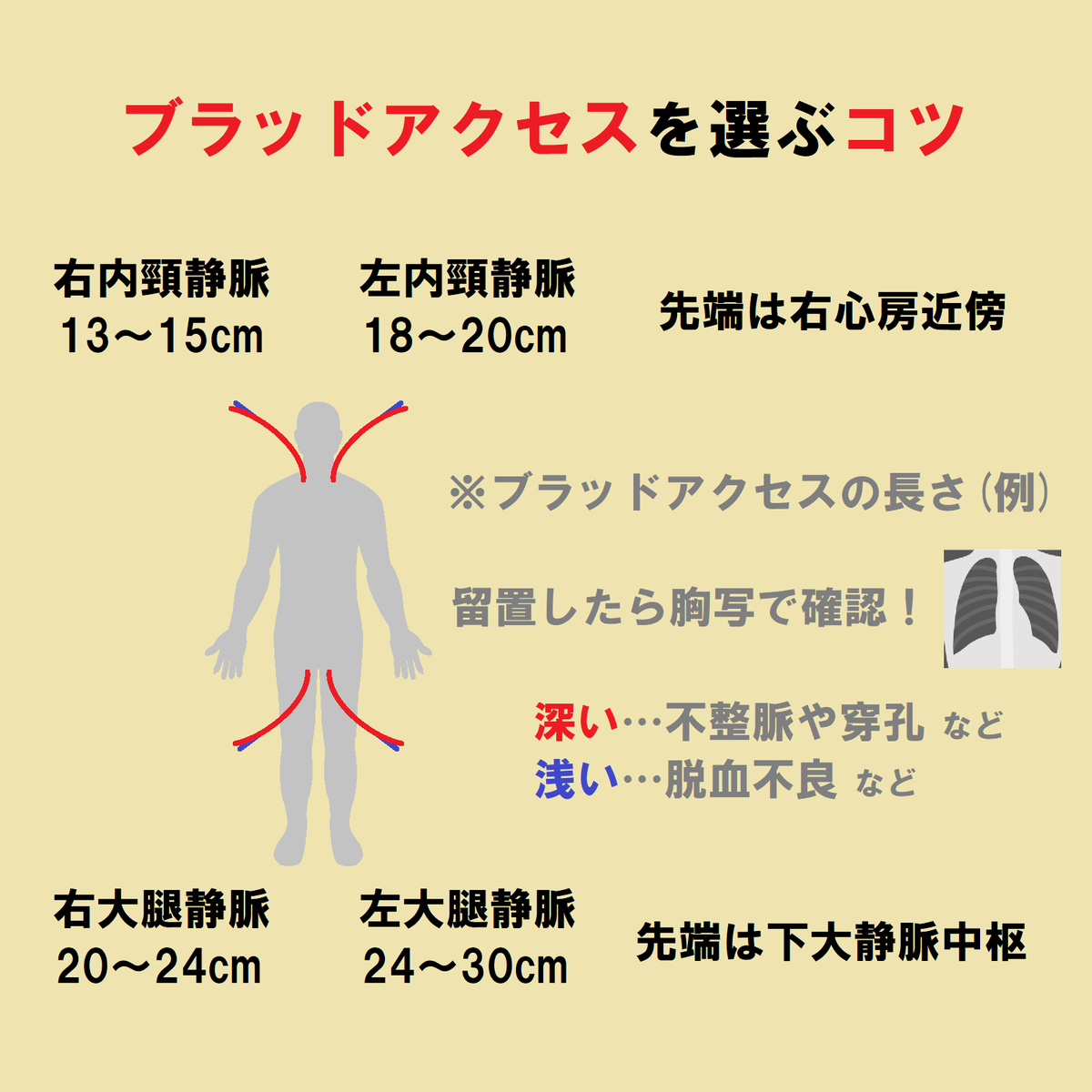 ce7meliteracy's tweet photo. 「ブラッドアクセス」をまとめたよ！👏👏（2/2） https://t.co/1HDXxPcqxA