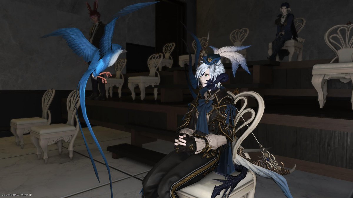 ユキノ@FF14 原神 tweet media