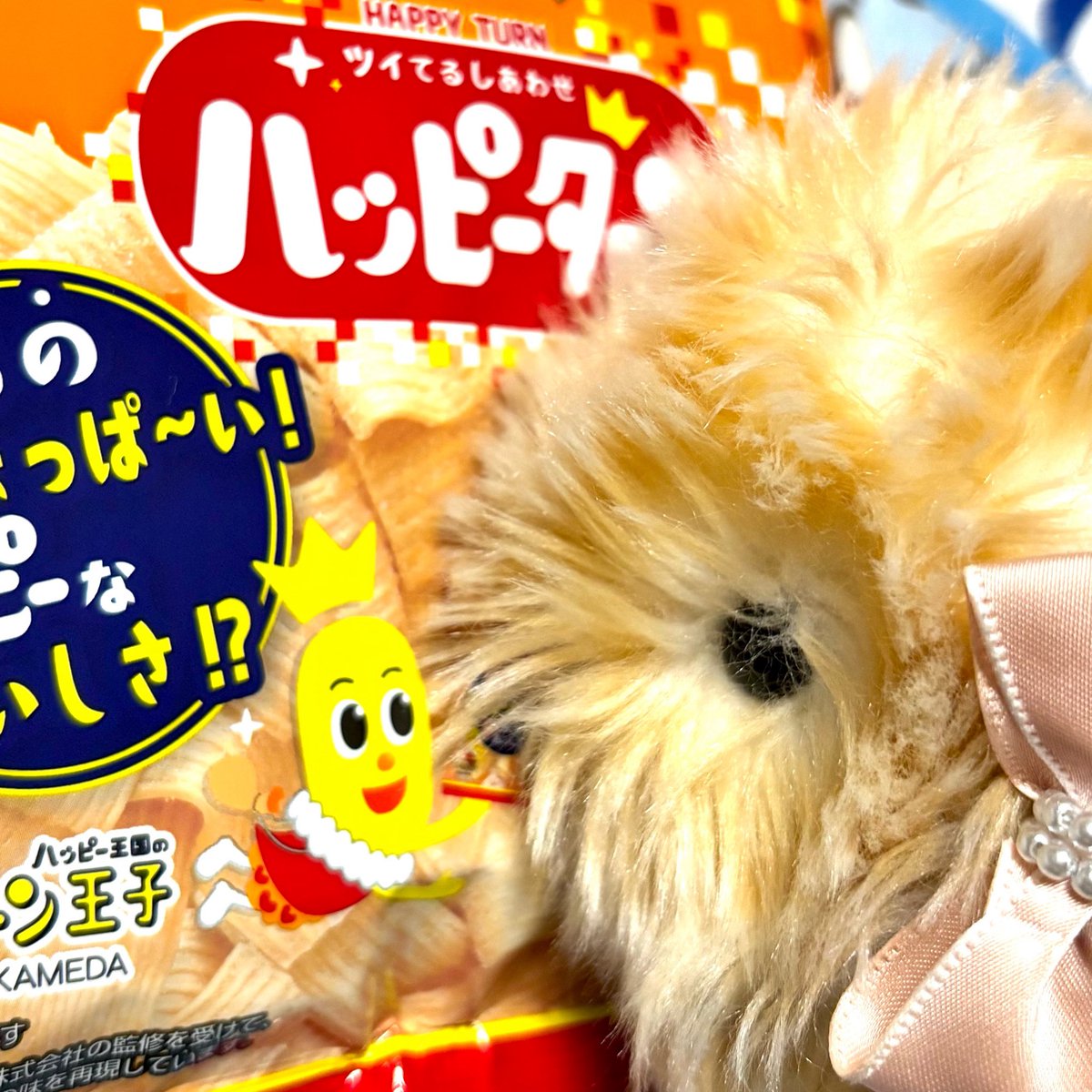 もっぷぅ🐰の飼い主✨ tweet media