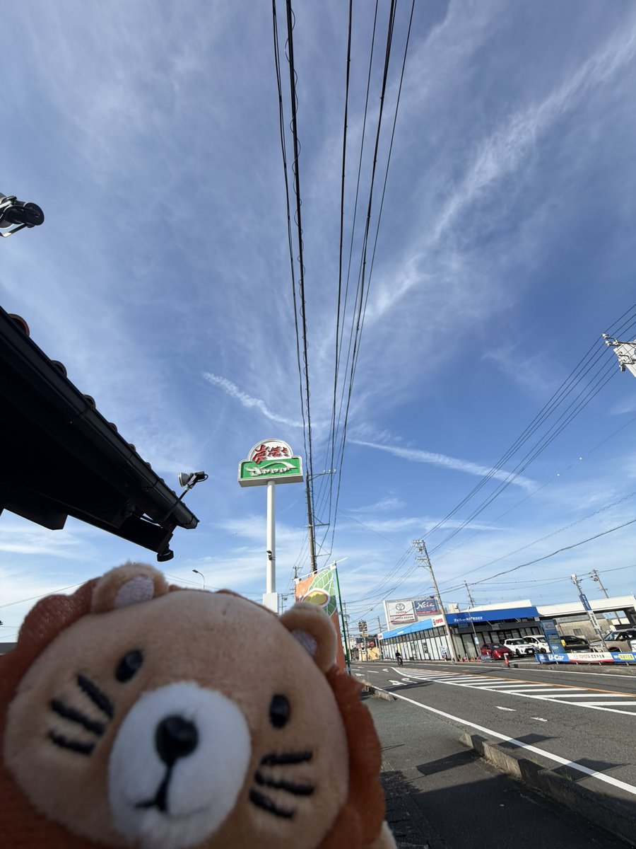 ぬいヶ原 tweet media