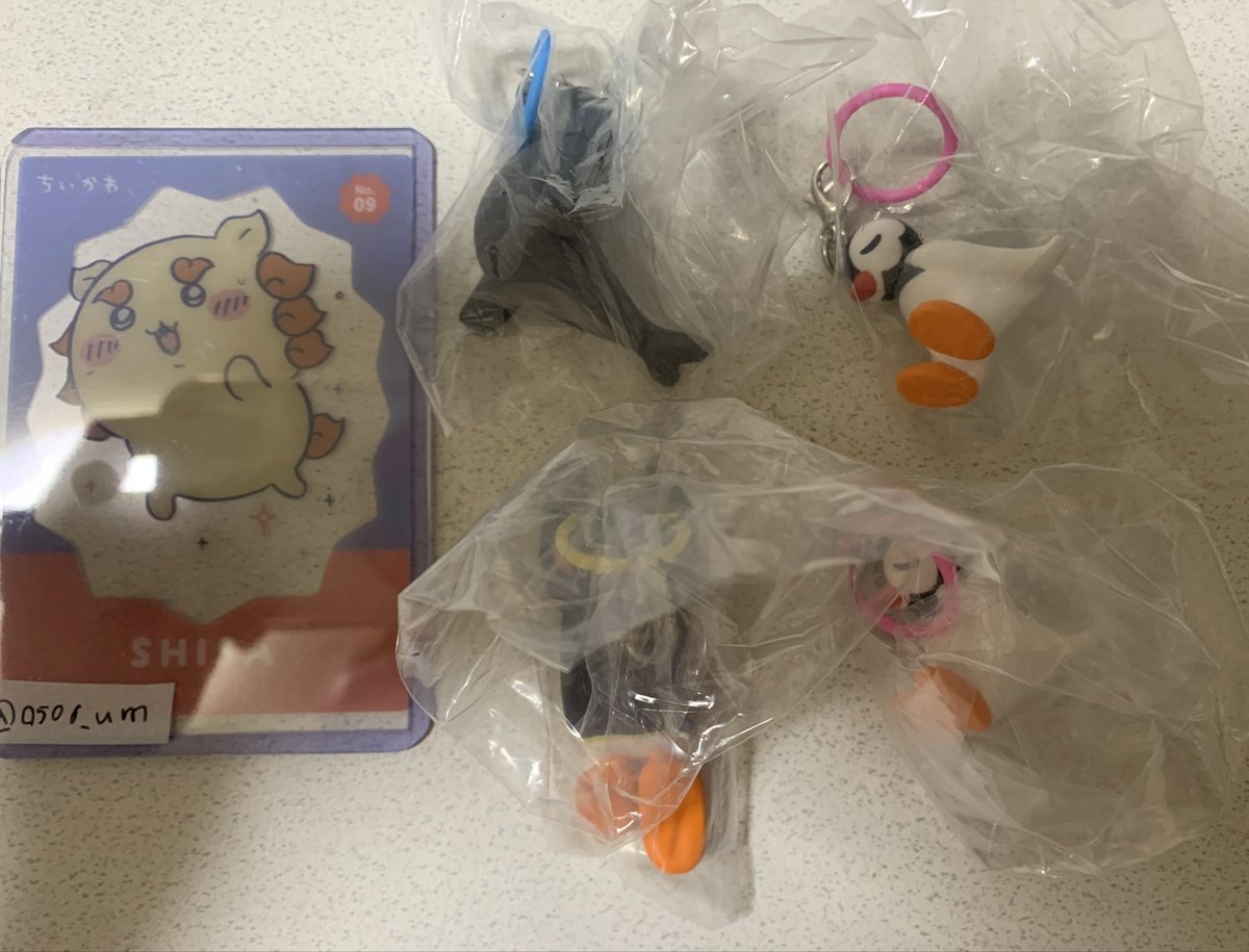 0506__um's tweet photo. ピングー PINGU フィギュアチャーム２ ガチャガチャ めじるしアクセサリー 交換 

【譲】 ピングー(ねそべり) ピンガ(おやすみ) ロビ(にっこり)

【求】 ピンガ(ねそべり)

⟡.· 初回リトリン必読
⟡.· 郵送対応のみ https://t.co/NA94Zr29Ap
