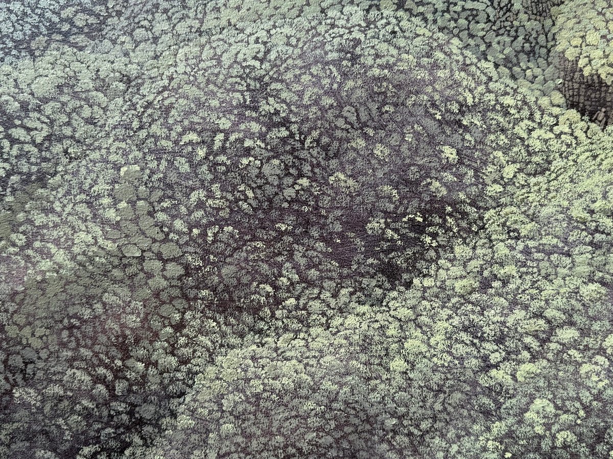 Gallery2art's tweet photo. Karin Daymond, Catchment, Oil on canvas, 100 x 130cm, 2026, Framed

RMB Latitudes Art Fair, 2026

#latitudesartfair #rmblatitudesartfair #rmblatitudesartfair2026 #gallery2 https://t.co/IUEX42yUhR