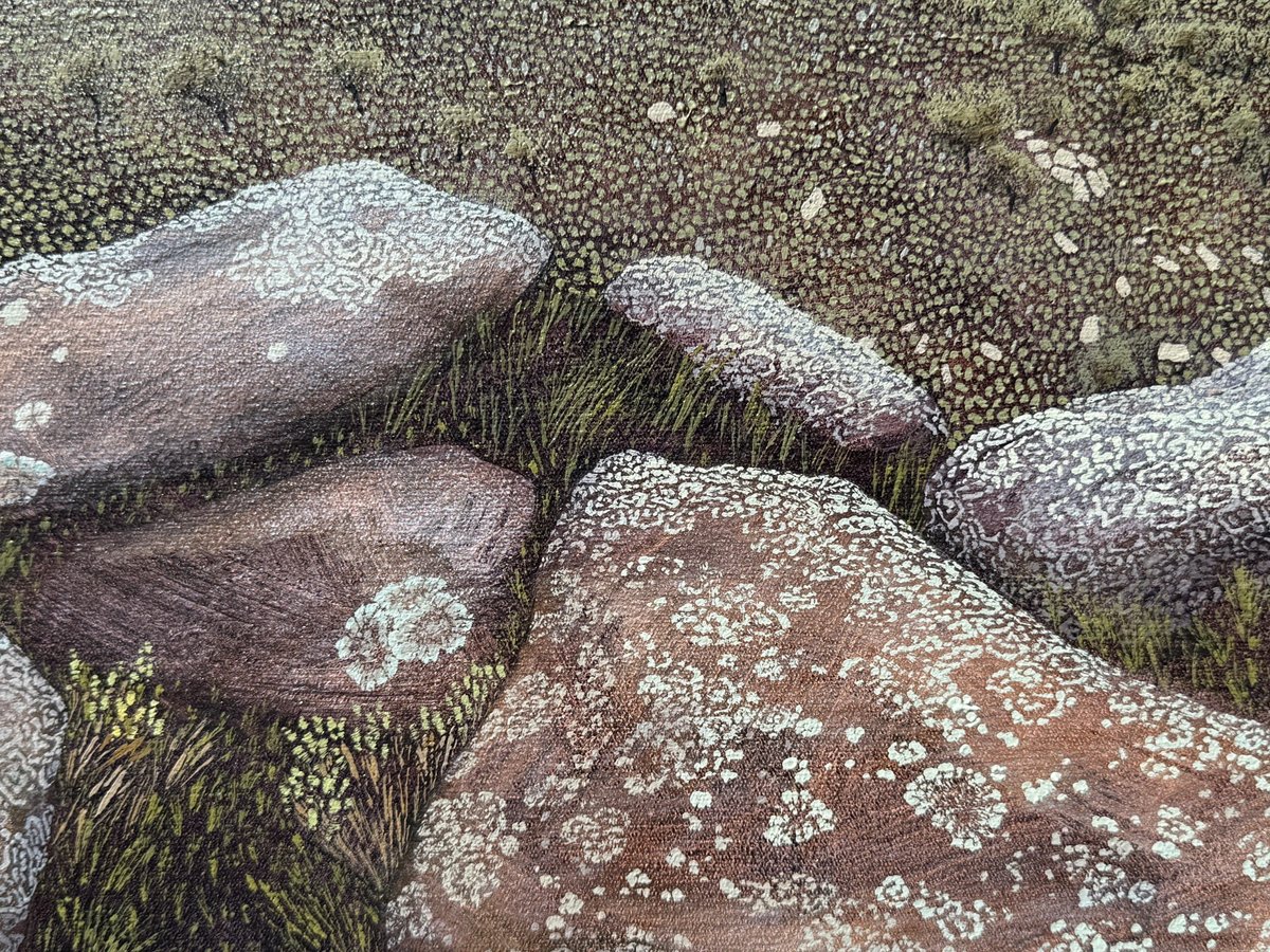 Gallery2art's tweet photo. Karin Daymond, Catchment, Oil on canvas, 100 x 130cm, 2026, Framed

RMB Latitudes Art Fair, 2026

#latitudesartfair #rmblatitudesartfair #rmblatitudesartfair2026 #gallery2 https://t.co/IUEX42yUhR