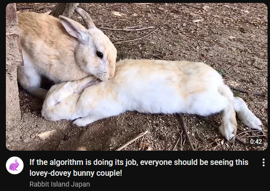 angelbun ૮ ˶ᵔ ᵕ ᵔ˶ ა Θ∆ 🏳️⚧️ tweet media