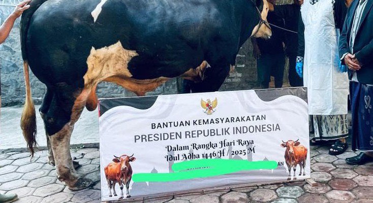 pertamarhan's tweet photo. @SeekHustle Bebas ngehina tapi minimal riset dulu sih. https://t.co/qSAccr6EjT