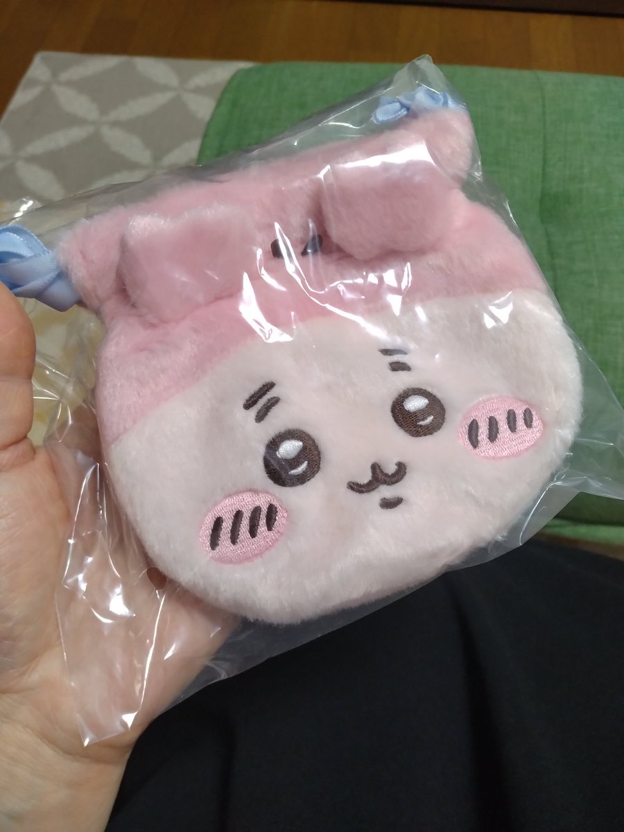 ポーチじゃなくてきんちゃくダ