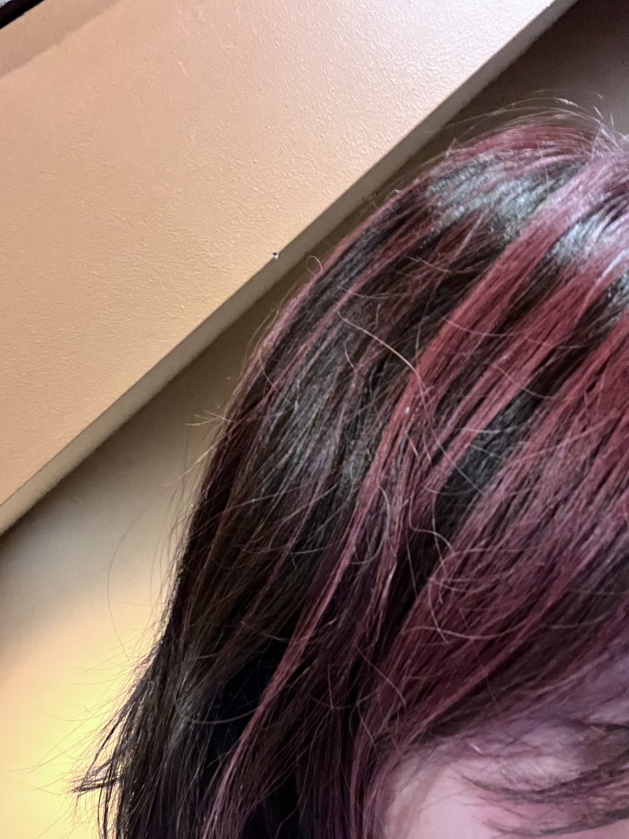 105tomoon's tweet photo. 髪の毛が突如真っ赤になってても
何も言われない会社で

ほんとよかったわー https://t.co/TAlgpgxxsZ