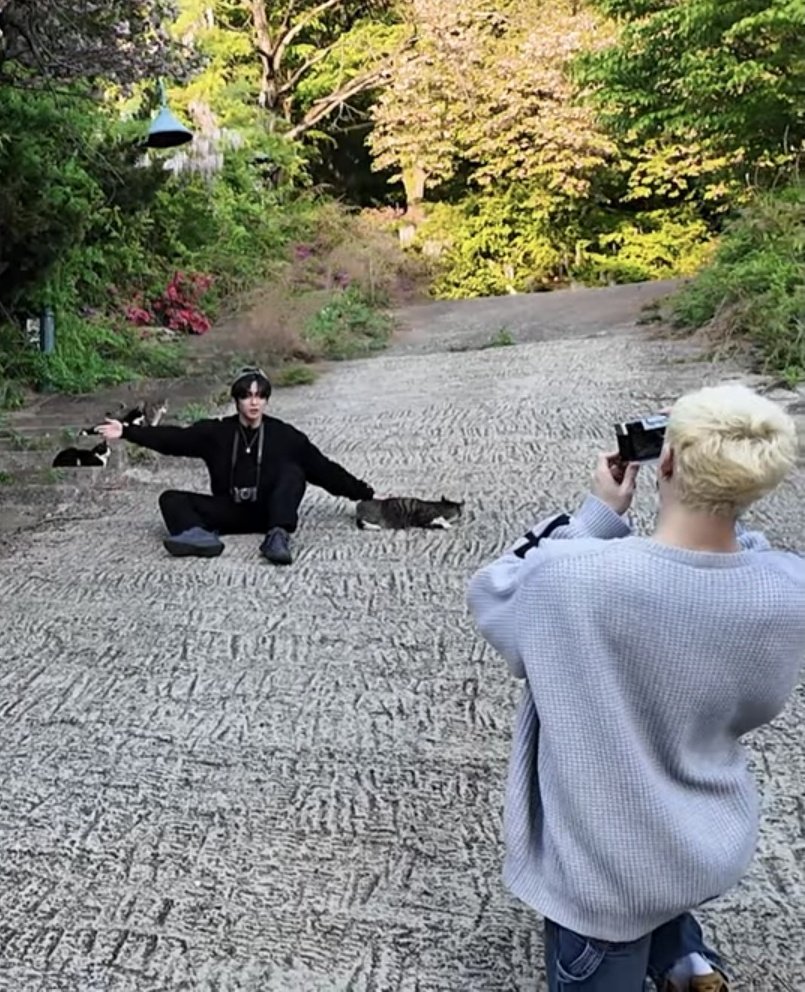 초밥 tweet media