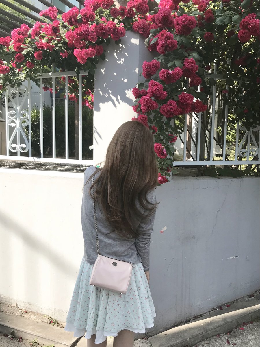 miko_zip's tweet photo. 여름옷 개시했고, 장미 자만추 함 👩🏼‍❤️‍💋‍👩🏼🫰🏻🫰🏻 https://t.co/n98nRCPVQT