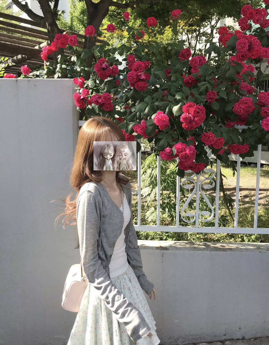 miko_zip's tweet photo. 여름옷 개시했고, 장미 자만추 함 👩🏼‍❤️‍💋‍👩🏼🫰🏻🫰🏻 https://t.co/n98nRCPVQT