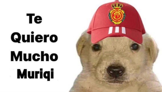 droloo👹 tweet media