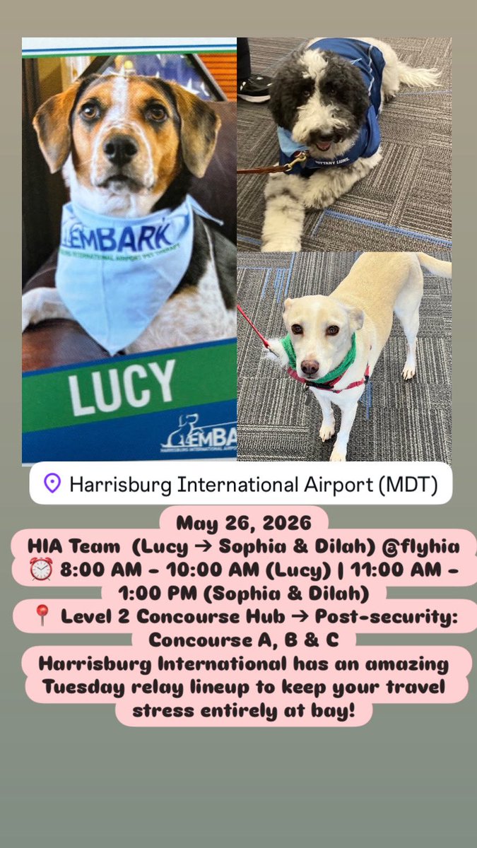 Airport Therapy Dogs tweet media