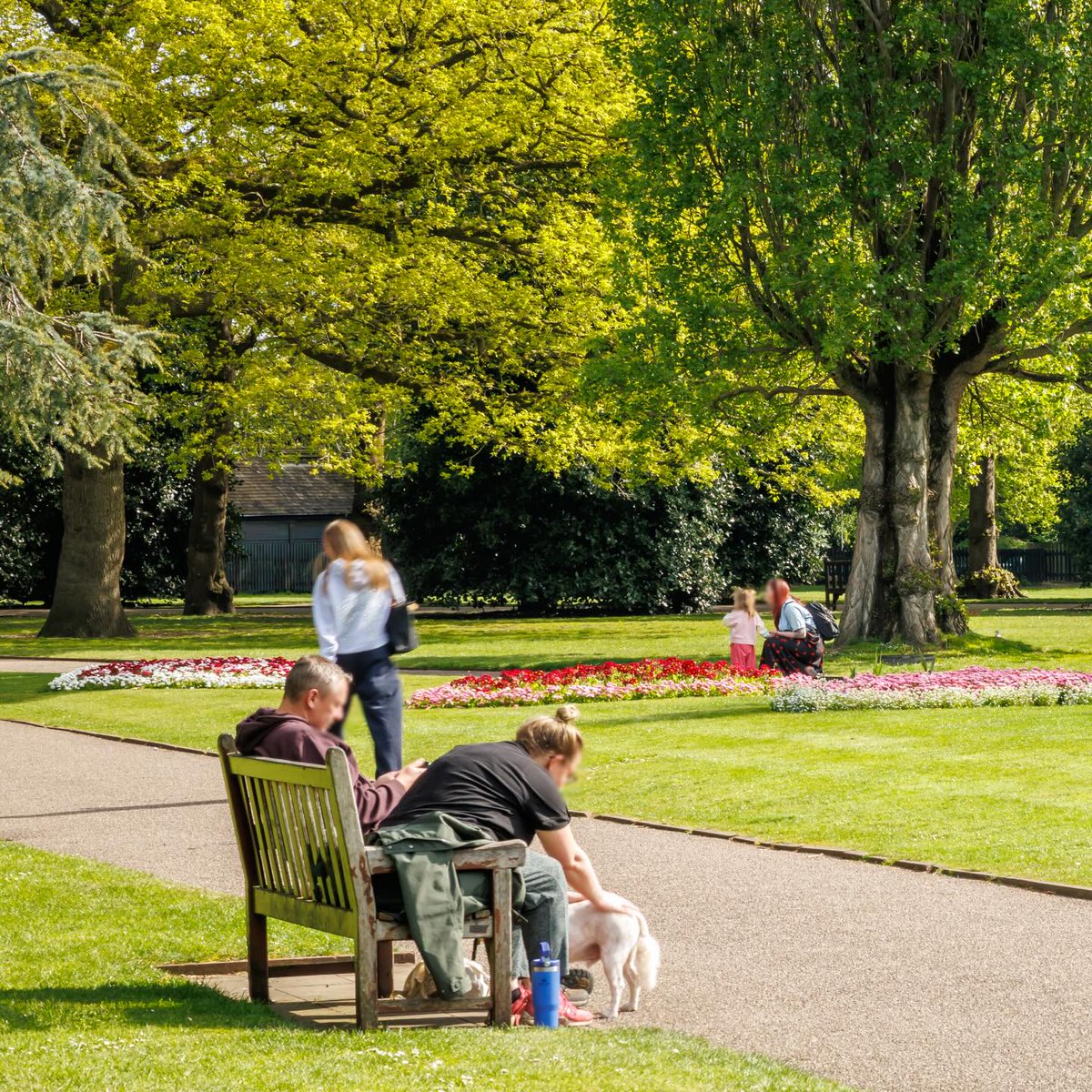 Chester BID tweet media