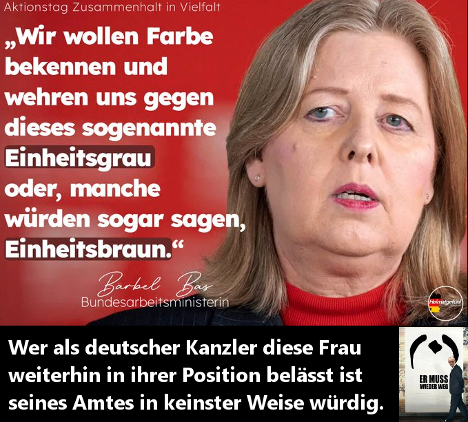 FranzRollar tweet media