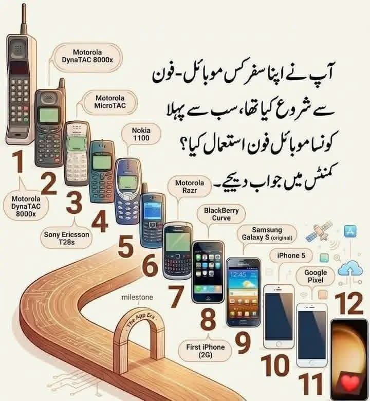 Amina Nur tweet media