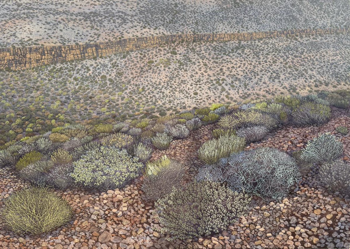 Gallery2art's tweet photo. Karin Daymond, With the Sun On My Back – Cederberg, oil on canvas, 100 x 140cm, 2026, framed

RMB Latitudes Art Fair, 2026

#latitudesartfair #rmblatitudesartfair #rmblatitudesartfair2026 #gallery2 https://t.co/gNzCI6l9n5