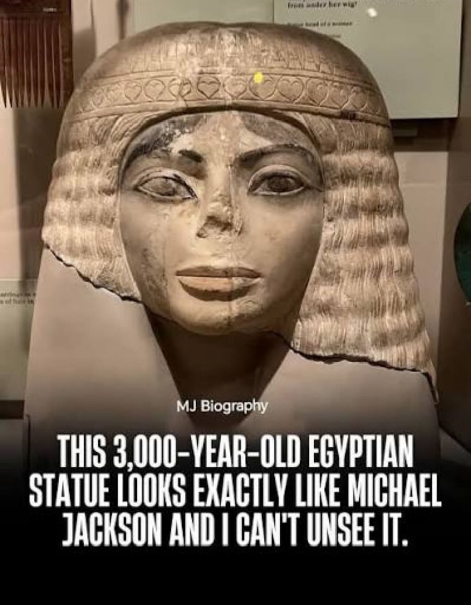 Q👽 tweet media