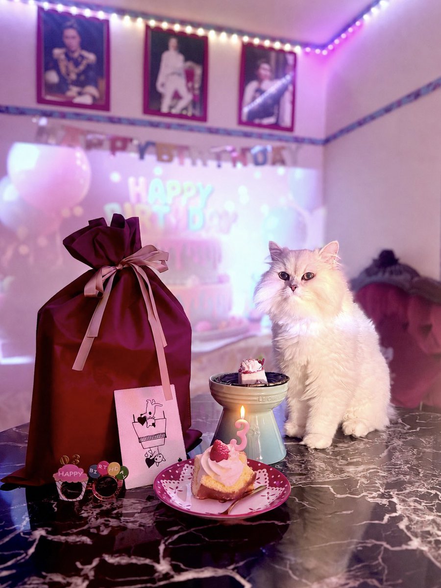 schwan_king's tweet photo. 𝐻𝑎𝑝𝑝𝑦 𝑏𝑖𝑟𝑡ℎ𝑑𝑎𝑦𓂃 🎂𓈒𓏸 𓋜 . *

気高く美しいシュヴァン様🦢♛︎
3才のおたんじょうびおめでとう🕯🥀

#猫のいる暮らし https://t.co/QziCW5NrVp