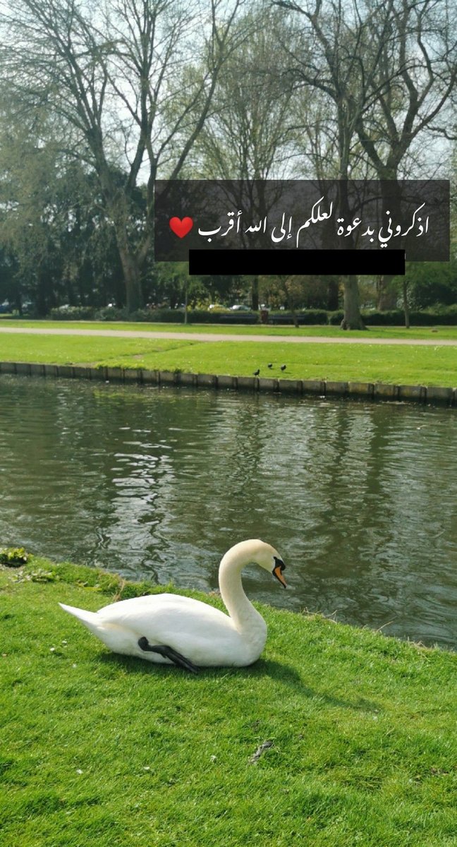 NadiaSaadAlAtte's tweet photo. https://t.co/MqwYqk8poB