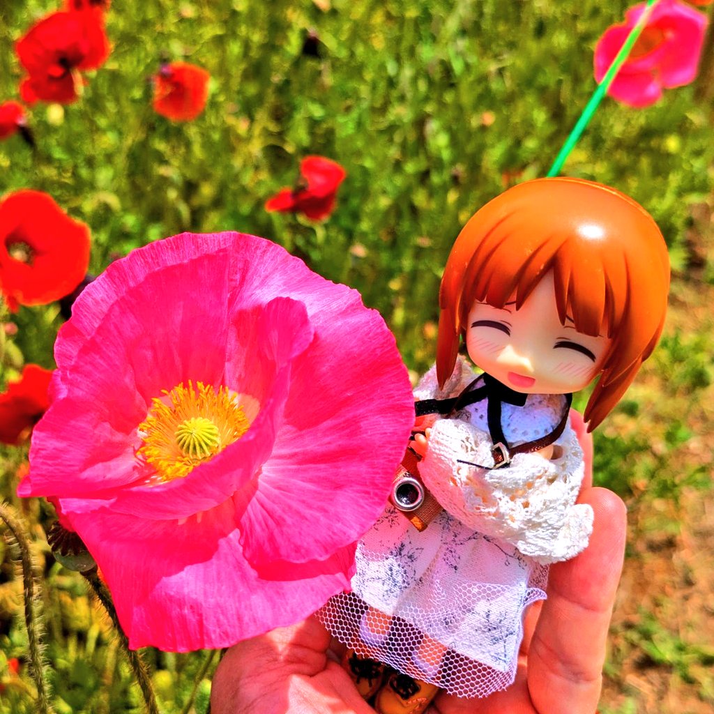 zero@みほさんと穏やかな日々を(*´ー`*) tweet media
