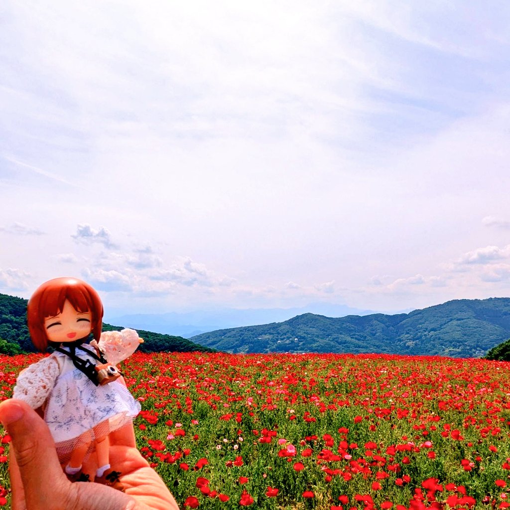 zero@みほさんと穏やかな日々を(*´ー`*) tweet media