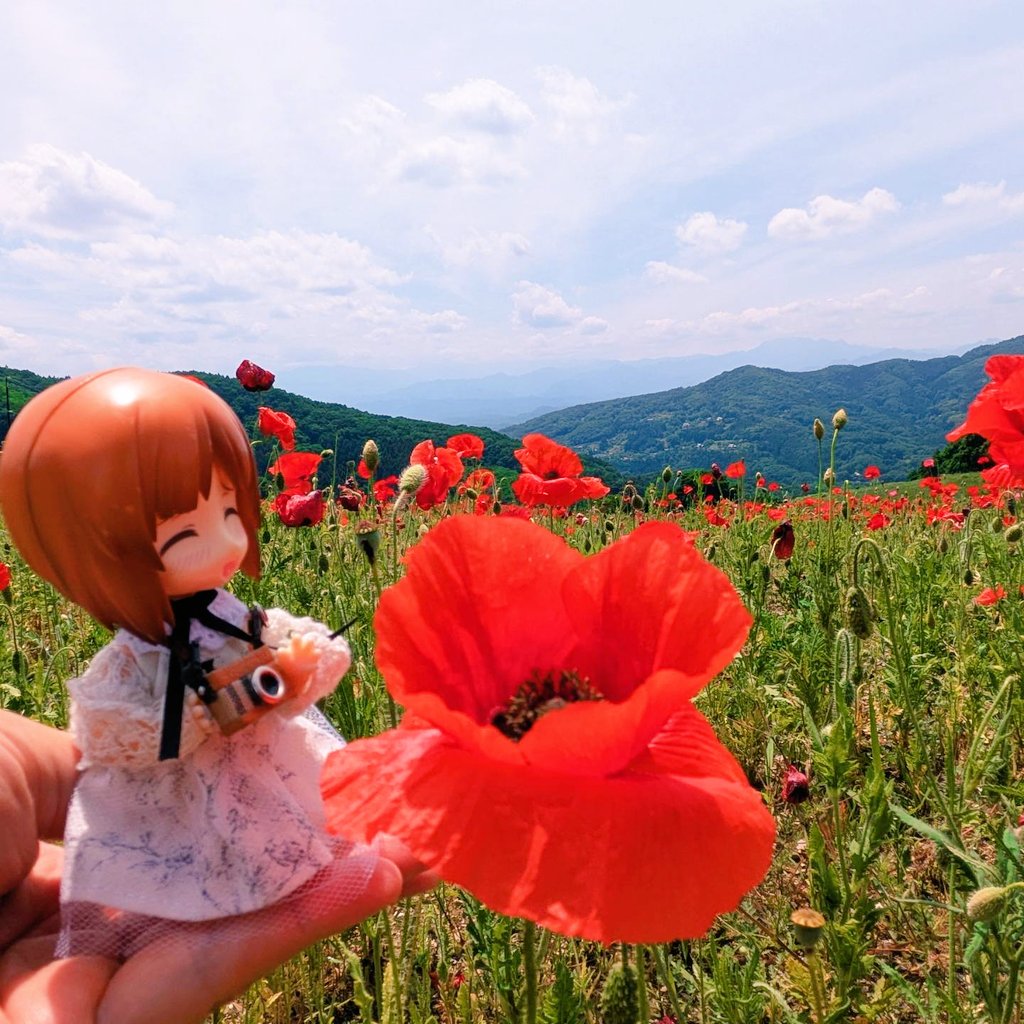 zero@みほさんと穏やかな日々を(*´ー`*) tweet media