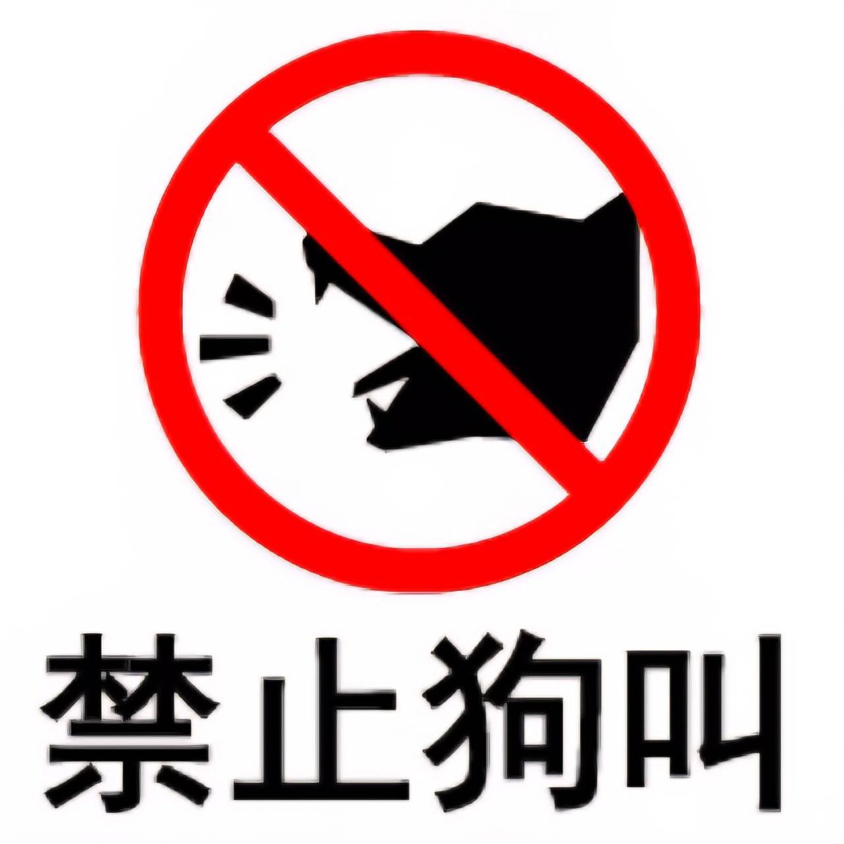 小農13號鮮乳 tweet media