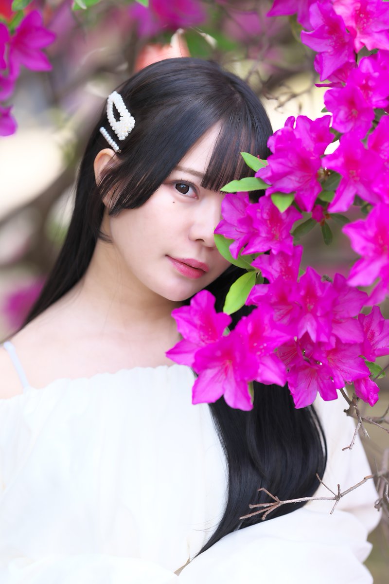 しげぽん (@QNusfNjCssBC4uk) / Posts / X