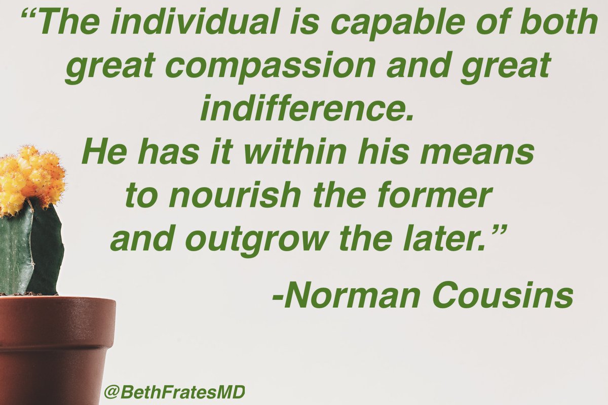 Beth Frates MD tweet media