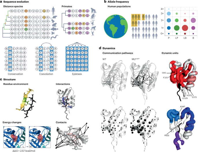 NatRevRheumatol's tweet photo. New content online: Decoding variants of uncertain significance in systemic autoinflammatory diseases https://t.co/omMEkwzrRq https://t.co/ODTT0GpXFF