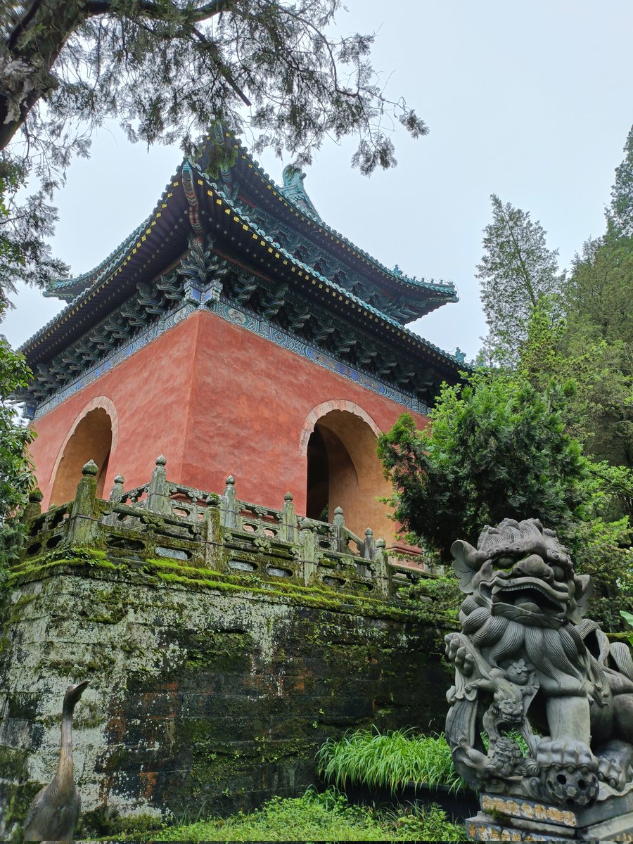kanqing tweet media