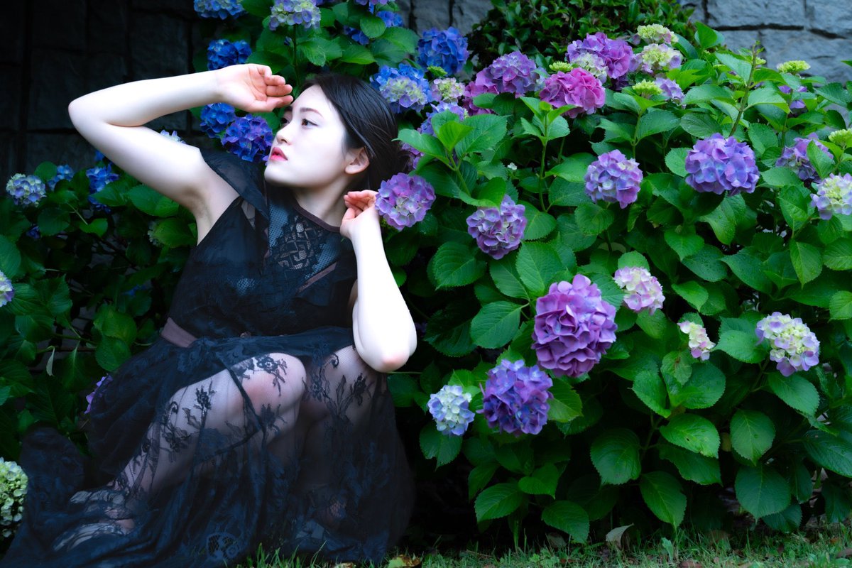 sakura_coco5's tweet photo. 麗し季節

#紫陽花
#チェリッシュ撮影会 https://t.co/3eLpcl2D88