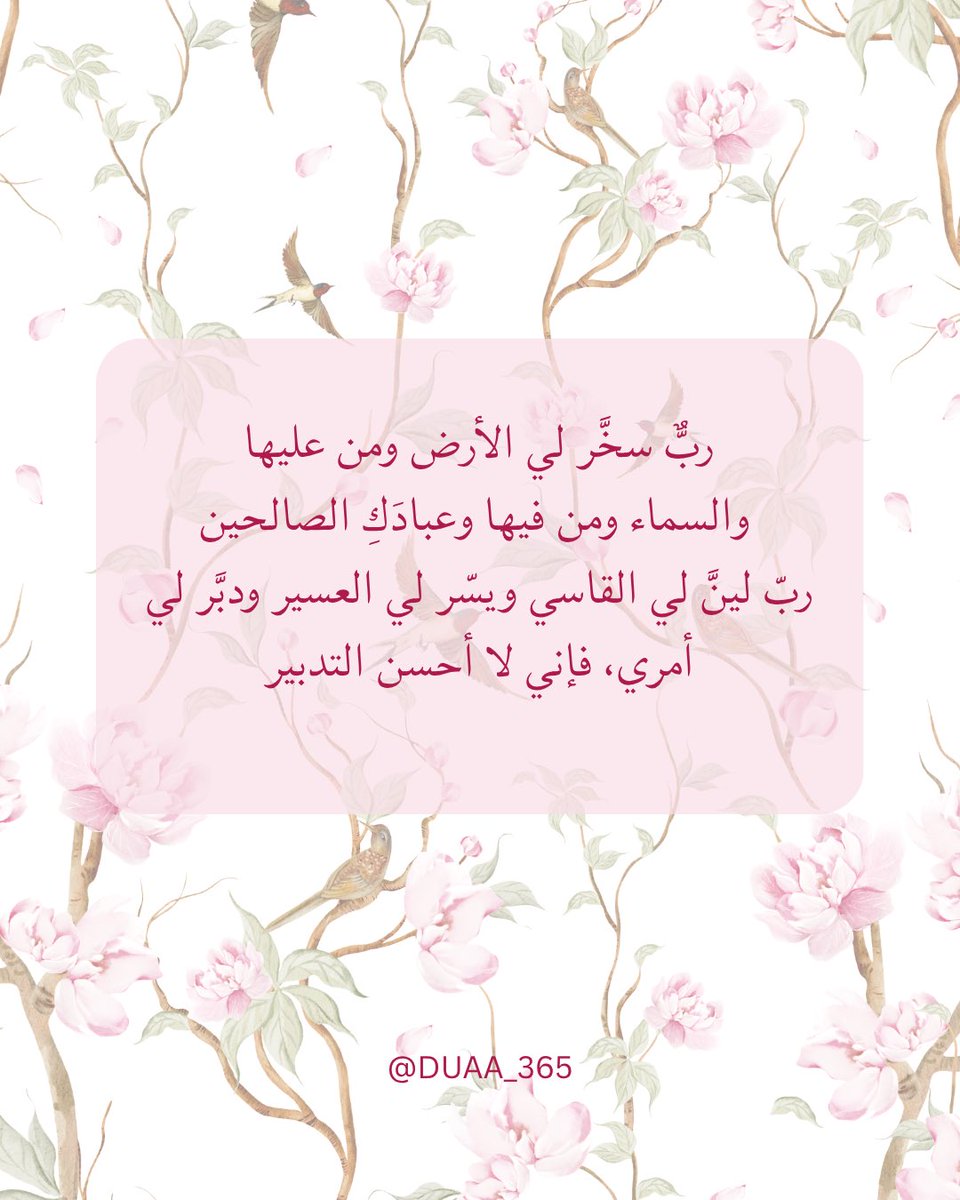 DUAA_365's tweet photo. https://t.co/vPcZw2mTyr