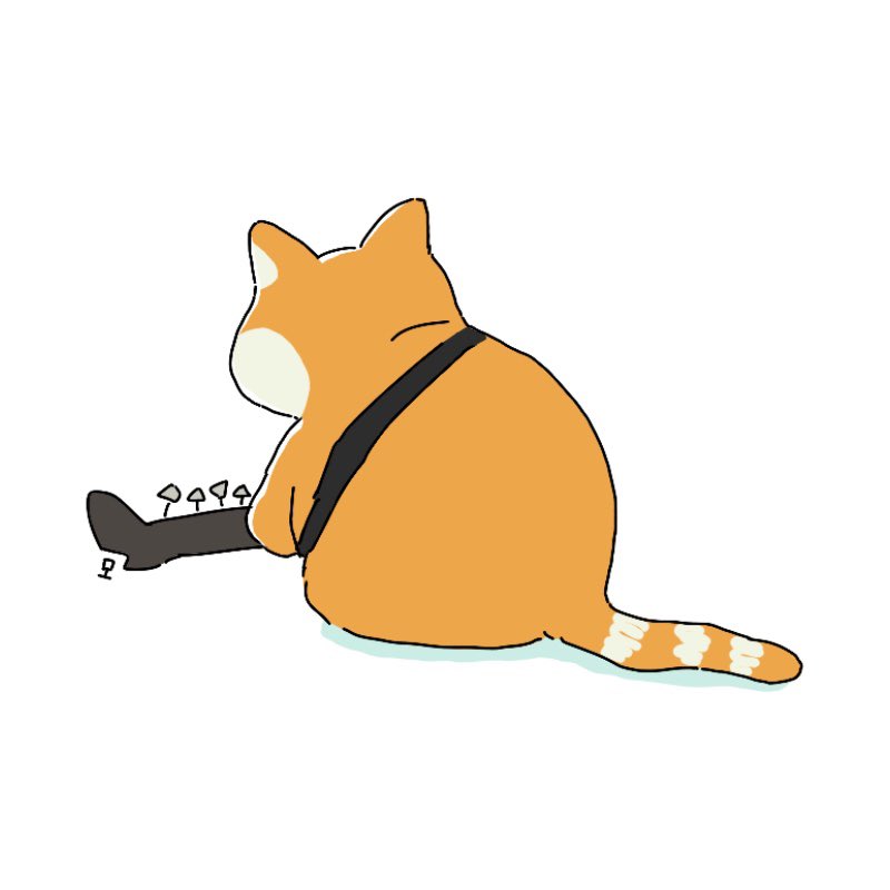 모 tweet media
