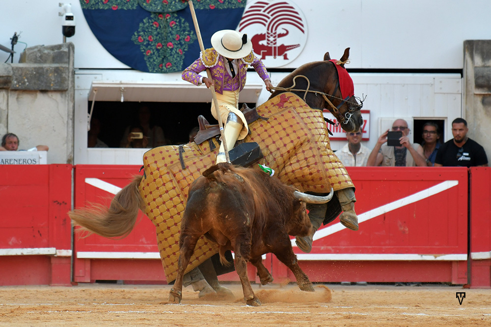 ChristopheChay's tweet photo. RESEÑA VIDÉO DE LA CORRIDA DE PEDRAZA DE YELTES AUX ARÈNES DE NÎMES - Analyse de la course du lundi 25 mai 2026 avec Borja Jiménez et Clemente, en mano a mano. 

Analyse à retrouver sur abonnement sur Substack :

 https://t.co/PJ67bXQHDC https://t.co/Y7FCoMXLHo