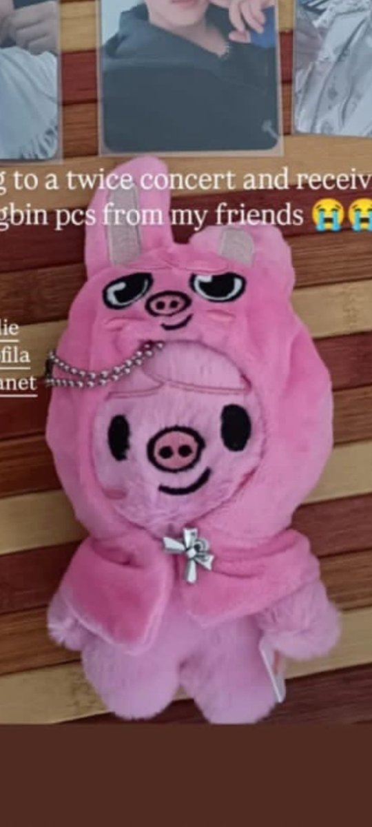 navhyo's tweet photo. se siete di Torino e per caso trovate questo dwaekki in zona Parco Dora - Ipercoop, è mio, mi è caduto dallo zaino e anche se sono tornata indietro non l'ho più ritrovato.  Se vi capita sott'occhio per favore fate una buona azione e riportatelo da me 😞😞 https://t.co/e0pT4w1Fll