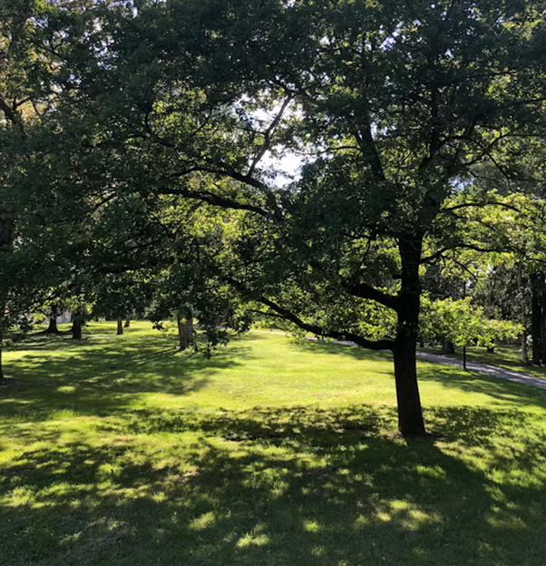 GPCdictionary's tweet photo. Word of the Day: cyhûdd https://t.co/nL5lV84PGB– which means ‘shade, shelter, esp. from the sun’s heat’. The advice in this weather is to spend plenty of time ‘yn y cyhûdd’, as opposed to being in full sunshine. https://t.co/FsA35f0RLo
