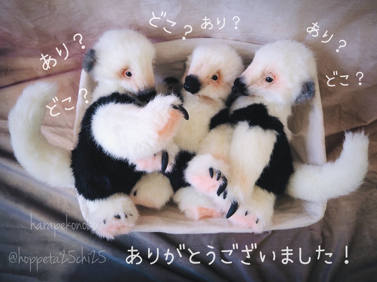 ハラペコ (@hoppeta25chi25) / Posts / X