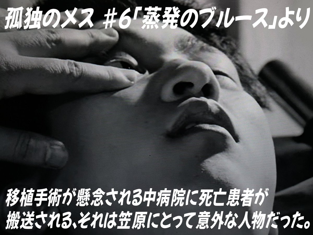 TSUNA tweet media
