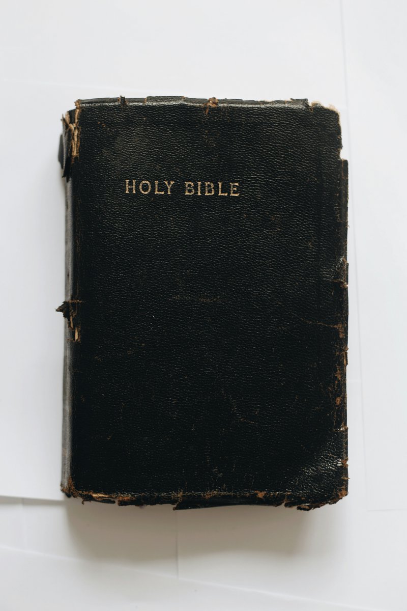 BasedCatholic7's tweet photo. Modernity rots; Truth remains. https://t.co/10Fq3GYBtx