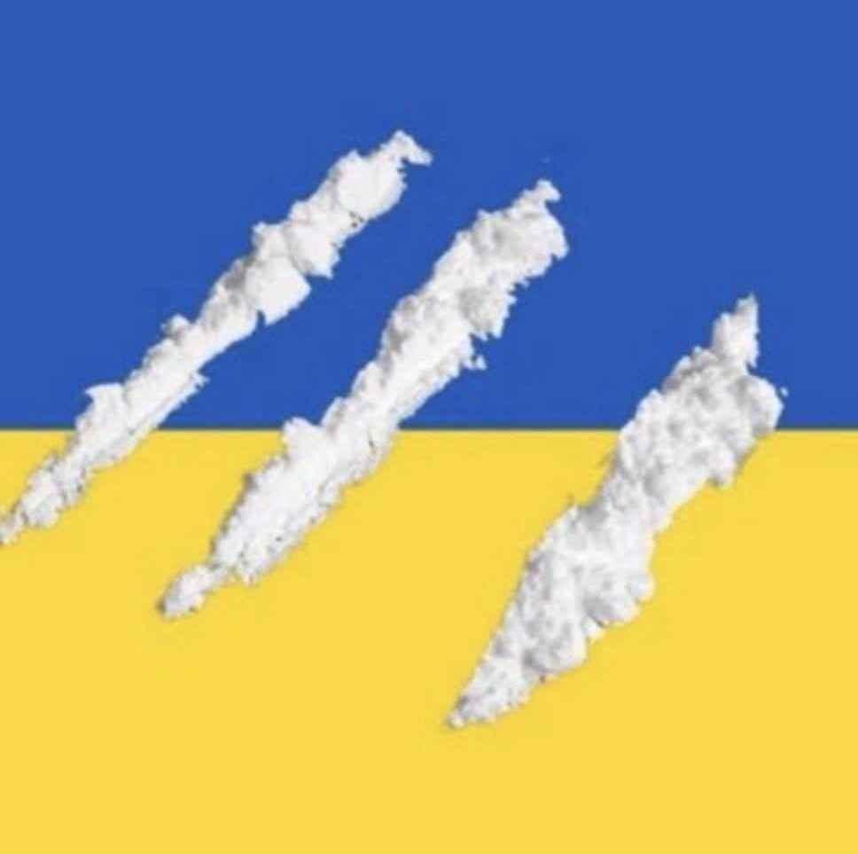 SubversiveVideo's tweet photo. @GLandsbergis @GLandsbergis Eurotrash warmonger keyboard warriors like you should be sent to die at the eastern front. Don't forget to bring your marching powder. https://t.co/RRiKcLPxFr