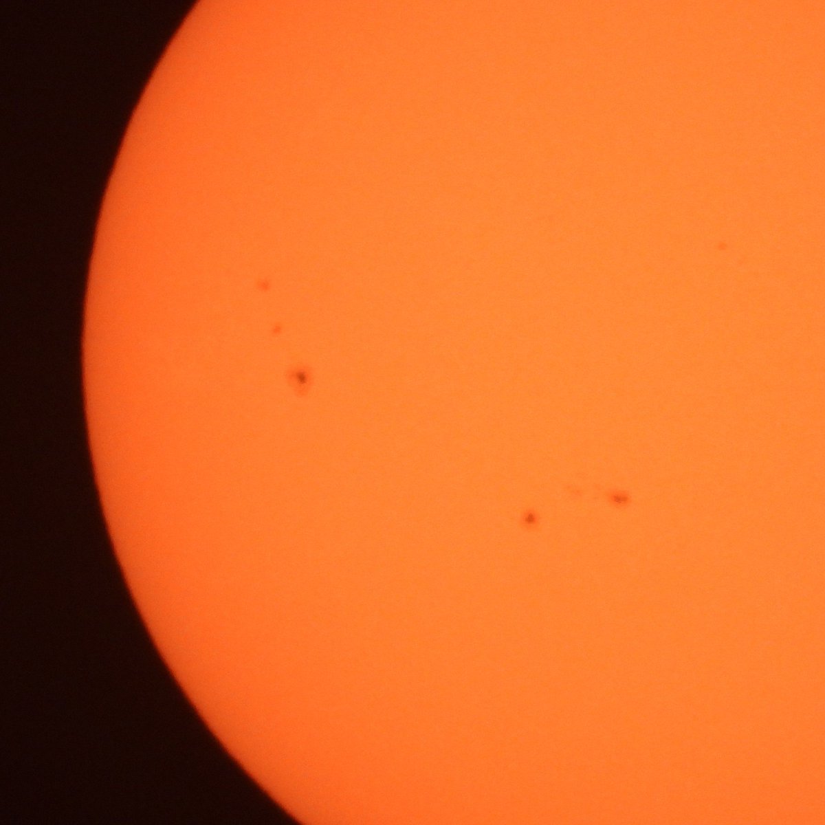 FunkyAppleTree's tweet photo. It's a hot one!!! 🔥🔥🔥

Sunspot regions:
4443 (3 sunspots)
4444 (3 sunspots)
4445 (4 sunspots)
4446 (16 sunspots)
4447 (13 sunspots)
4448 (10 sunspots)
4449 (4 sunspots)

@StormHour @ThePhotoHour #sunspots #solaractivity #CMEs #solarflares #UKHeatwave @metoffice https://t.co/fvWjaFJeLr