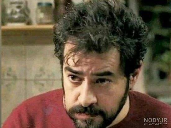 فردا تحویل میدم tweet media