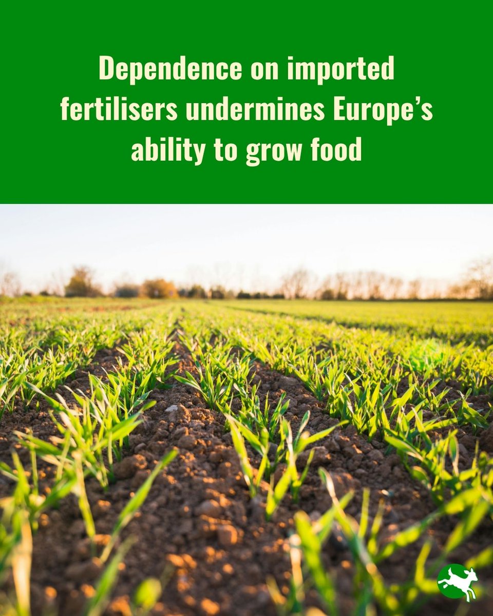 CIWF_EU's tweet photo. Inaction to reduce fertiliser pollution traps animals and farmers in unsustainable farming methods.

Our message to AGRIFISH ministers discussing the EU Fertiliser Action Plan: nature-friendly farming is the real solution to farmers' uncertainty. https://t.co/KCkRbDKNSg