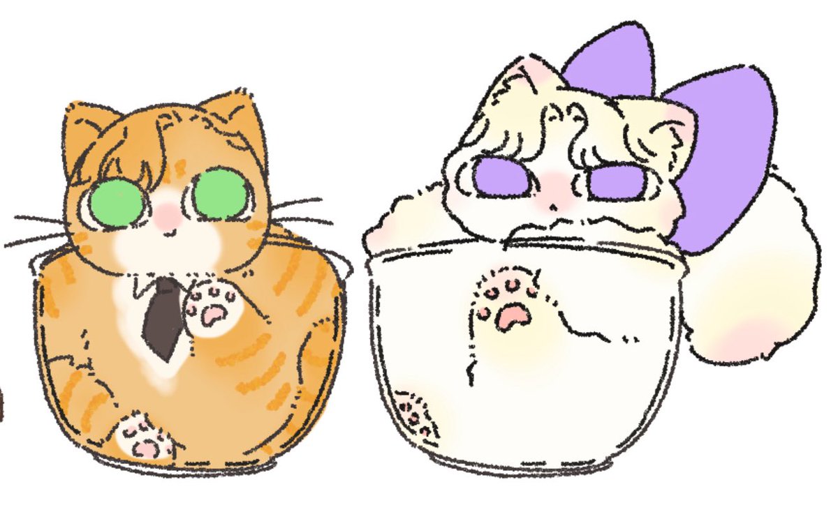boboji8975789's tweet photo. 请问今天需要哪一杯奶油猫咪！ https://t.co/QX9jUumnbu