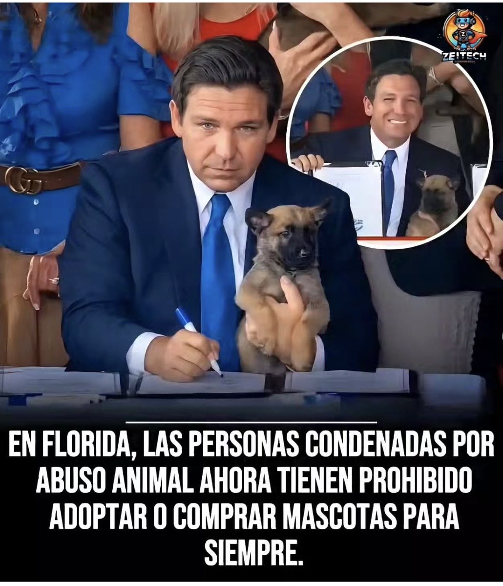 Bella tweet media