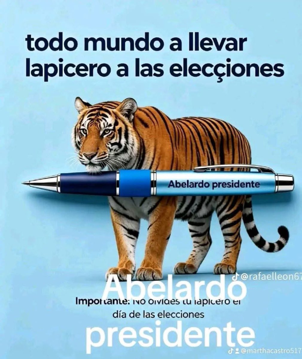 MARCE …🫶🏻💙 tweet media