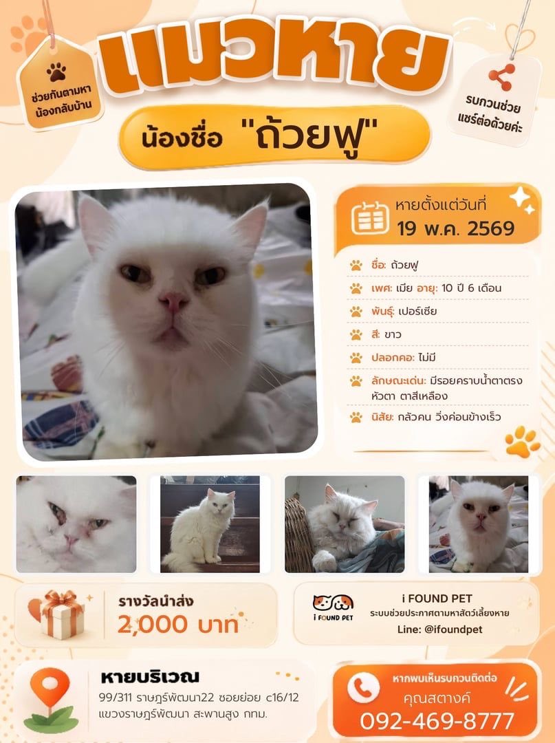 °.•ꕤ°💛🍡🍑 tweet media